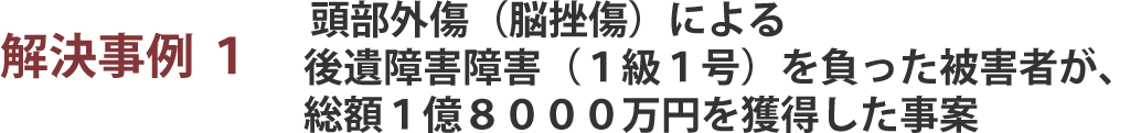 頭部外傷による神経系統の機能または精神の障害（１級１号）を負った被害者が、総額１億８０００万円を獲得した事案